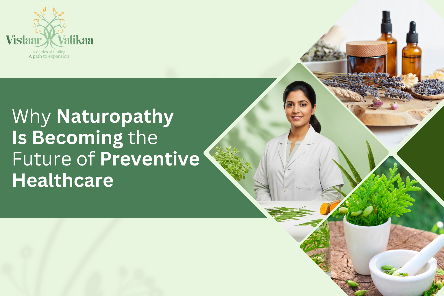 Naturopathy promoting preventive healthcare and holistic wellness
